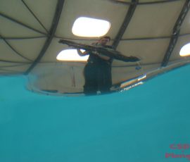 Sous-marins RC à Bourgoin-Jallieu 2013_212