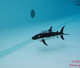 Sous-marins RC à Bourgoin-Jallieu 2013_44