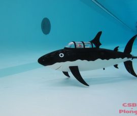 Sous-marins RC à Bourgoin-Jallieu 2013_45