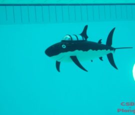 Sous-marins RC à Bourgoin-Jallieu 2013_7