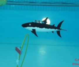 Sous-marins RC à Bourgoin-Jallieu 2013_92
